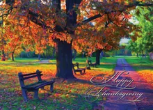 A Park in Glorious Autumn colors — thanksgiving cards greeting card, personalized by Best Holiday Cards