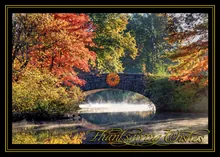 Autumnal Serenity — thanksgiving cards greeting card, personalized by Best Holiday Cards
