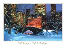 Bright Lights, Central Park — city scenes greeting card, personalized by Best Holiday Cards