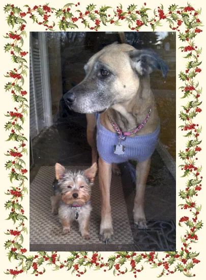 Christmas Memories — personalized business greeting card from Best Holiday Cards