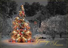 Colorful Holiday Reflections — christmas tree greeting card, personalized by Best Holiday Cards