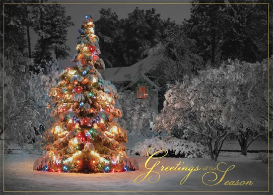 Colorful Holiday Reflections — Winter Scene Season's Greeting Card — personalized business greeting card from Best Holiday Cards