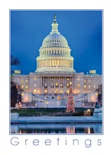 Greetings from D.C. — christmas tree greeting card, personalized by Best Holiday Cards