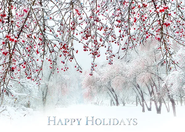 Holiday Road — Winter Scene Card — personalized business greeting card from Best Holiday Cards