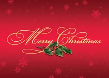 Merry Christmas Holly — christmas greeting card, personalized by Best Holiday Cards
