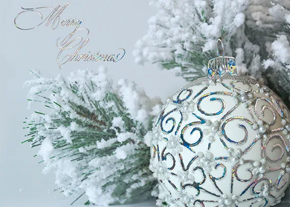 Merry Ornament! — Christmas Greeting Card — personalized business greeting card from Best Holiday Cards