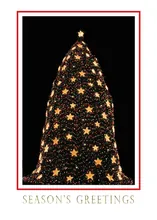 National Christmas Tree Washington, DC USA — stars greeting card, personalized by Best Holiday Cards