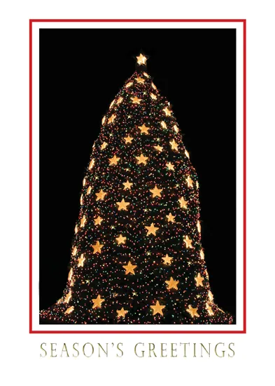 National Christmas Tree Washington, DC USA — Washington, DC Holiday Card — personalized business greeting card from Best Holiday Cards