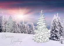 Nature's Beauty — treeline greeting card, personalized by Best Holiday Cards