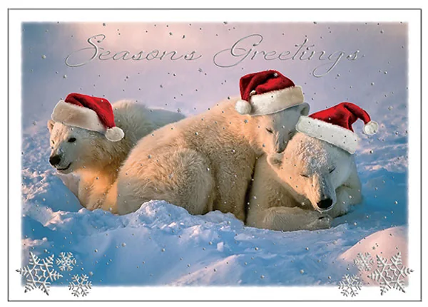 Polar Friends — Cute Christmas card — personalized business greeting card from Best Holiday Cards
