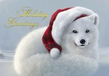 Sly as a Snow Fox! — humorous greeting card, personalized by Best Holiday Cards