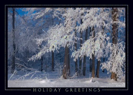 Snow Covered Forest — Winter Scene Holiday Card — personalized business greeting card from Best Holiday Cards