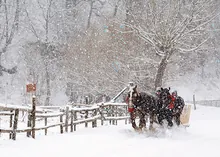 Snowy Sleigh Ride — christmas greeting card, personalized by Best Holiday Cards