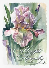 Sympathy Lily — sympathy cards greeting card, personalized by Best Holiday Cards