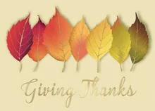 The Leaves of Autumn — thanksgiving cards greeting card, personalized by Best Holiday Cards