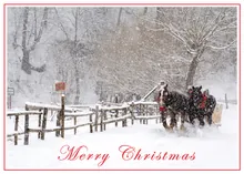Winter Sleigh Ride — christmas greeting card, personalized by Best Holiday Cards
