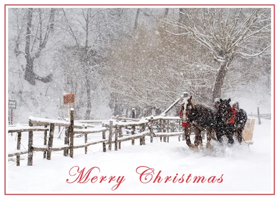 Winter Sleigh Ride — Winter Christmas Card — personalized business greeting card from Best Holiday Cards