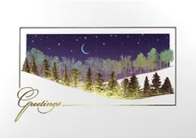 Winter's Silvery Glow — treeline greeting card, personalized by Best Holiday Cards