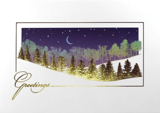 Winter's Silvery Glow — personalized business greeting card from Best Holiday Cards