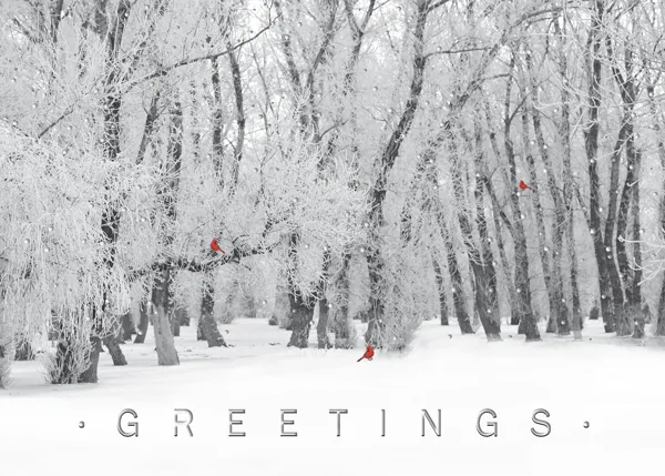 Winter's Special Visitors — Winter Christmas Card — personalized business greeting card from Best Holiday Cards