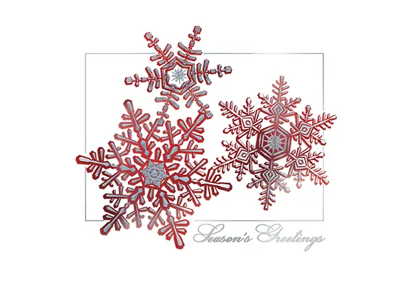 Snowflake — Business Holiday Cards from Best Holiday Cards